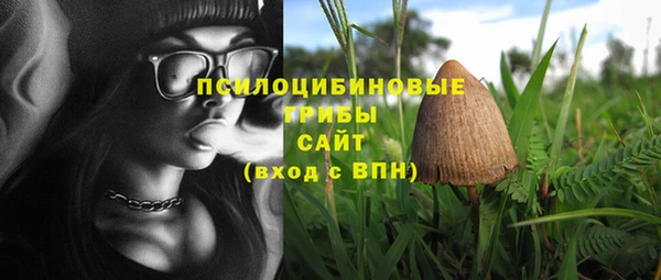 МДПВ Алзамай