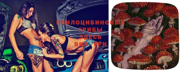 МДПВ Алзамай
