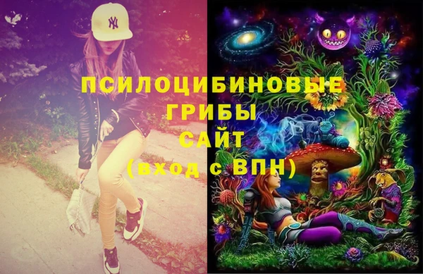 круглые Алексеевка
