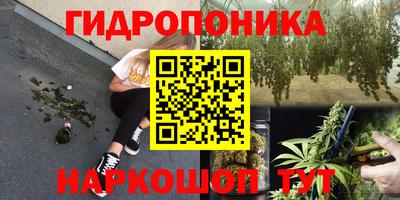 jwh Аргун