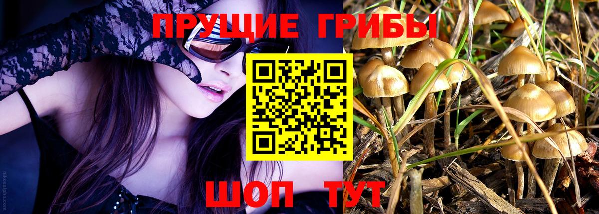 Галлюциногенные грибы GOLDEN TEACHER  купить наркотики цена  Богородск  Вход с VPN 